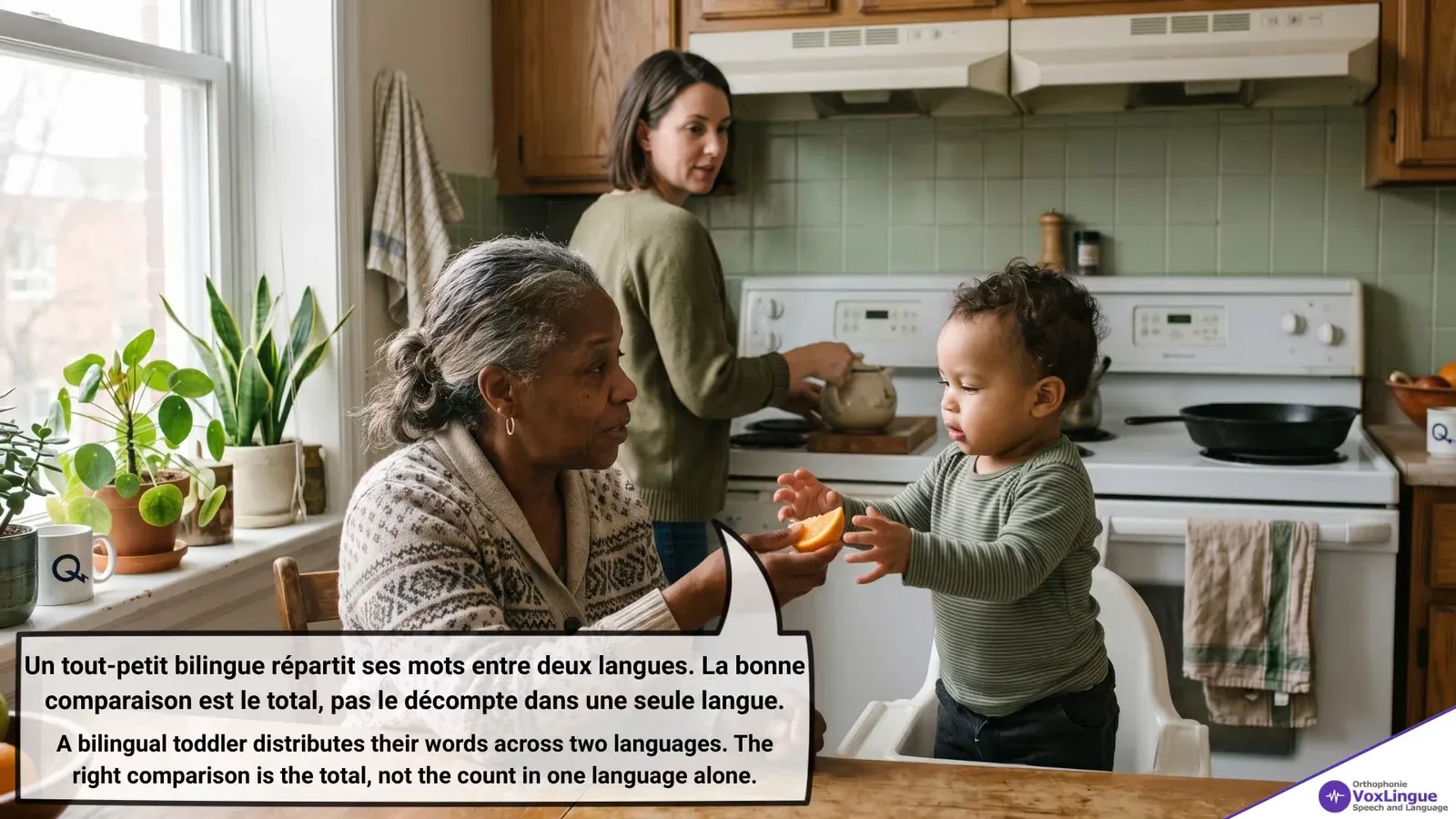 Two Languages, One Vocabulary | Deux langues, un seul vocabulaire