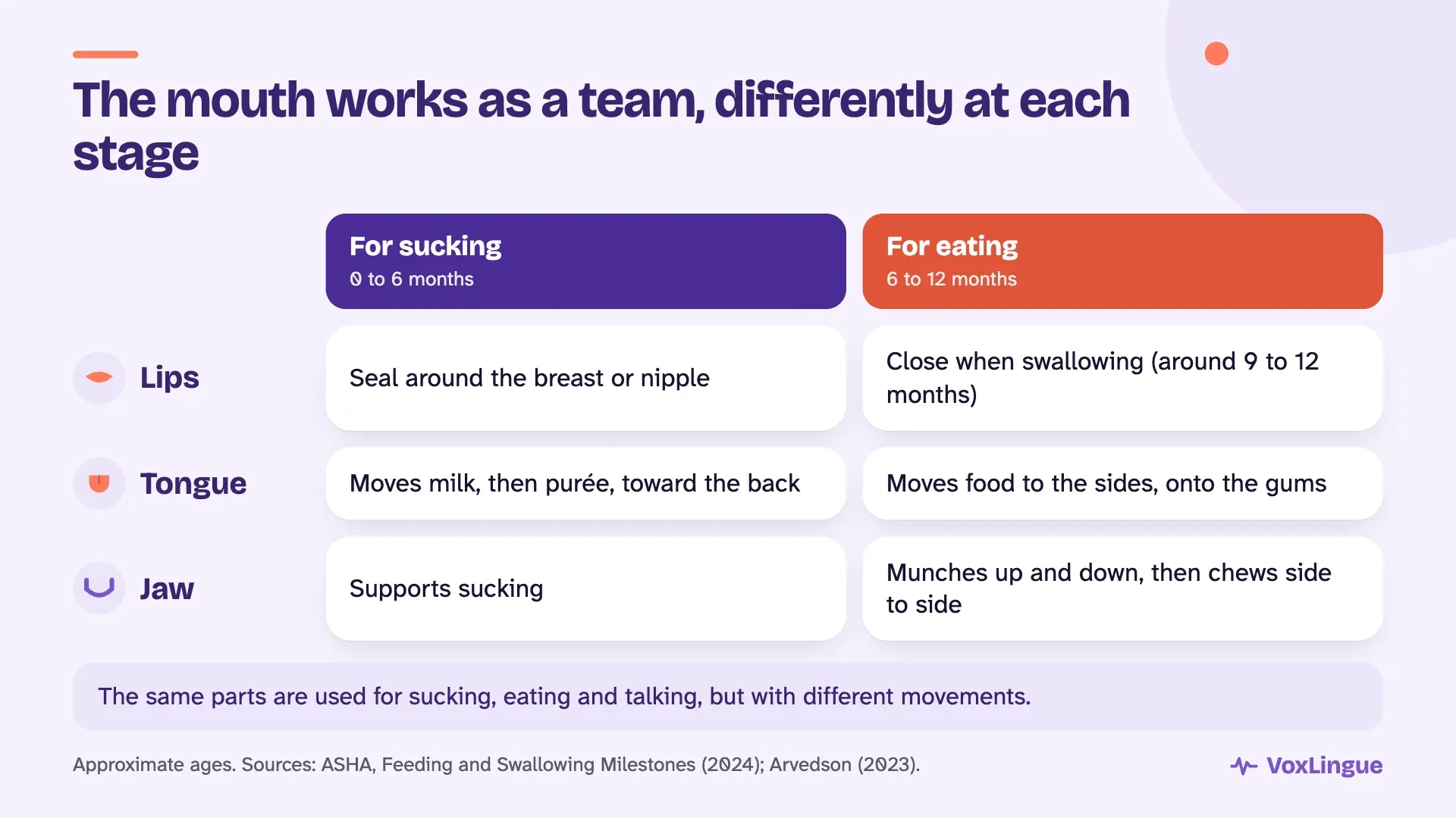 Table of the lips, tongue and jaw: what they do for sucking from 0 to 6 months and for eating from 6 to 12 months
