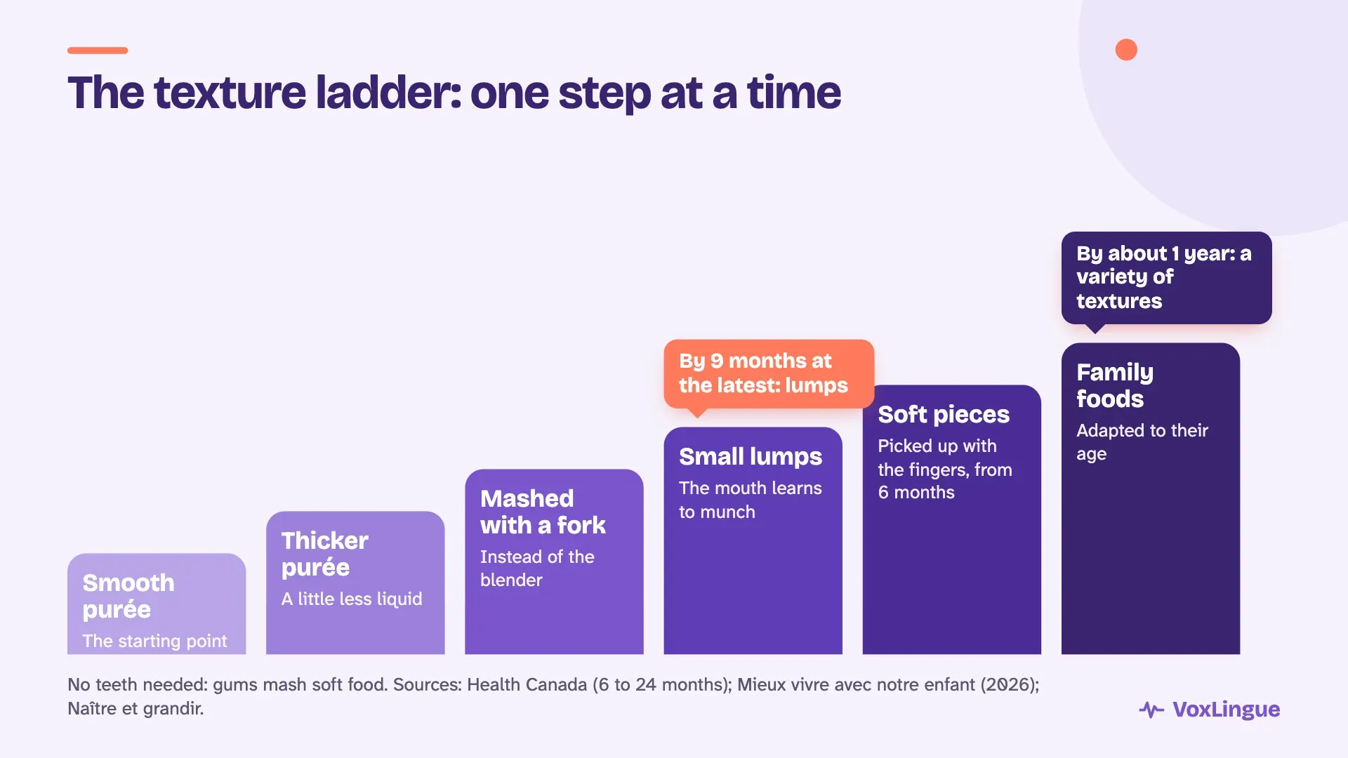 Texture ladder in six steps, from smooth purée to family foods, with lumps by 9 months at the latest and a variety of textures by about 1 year