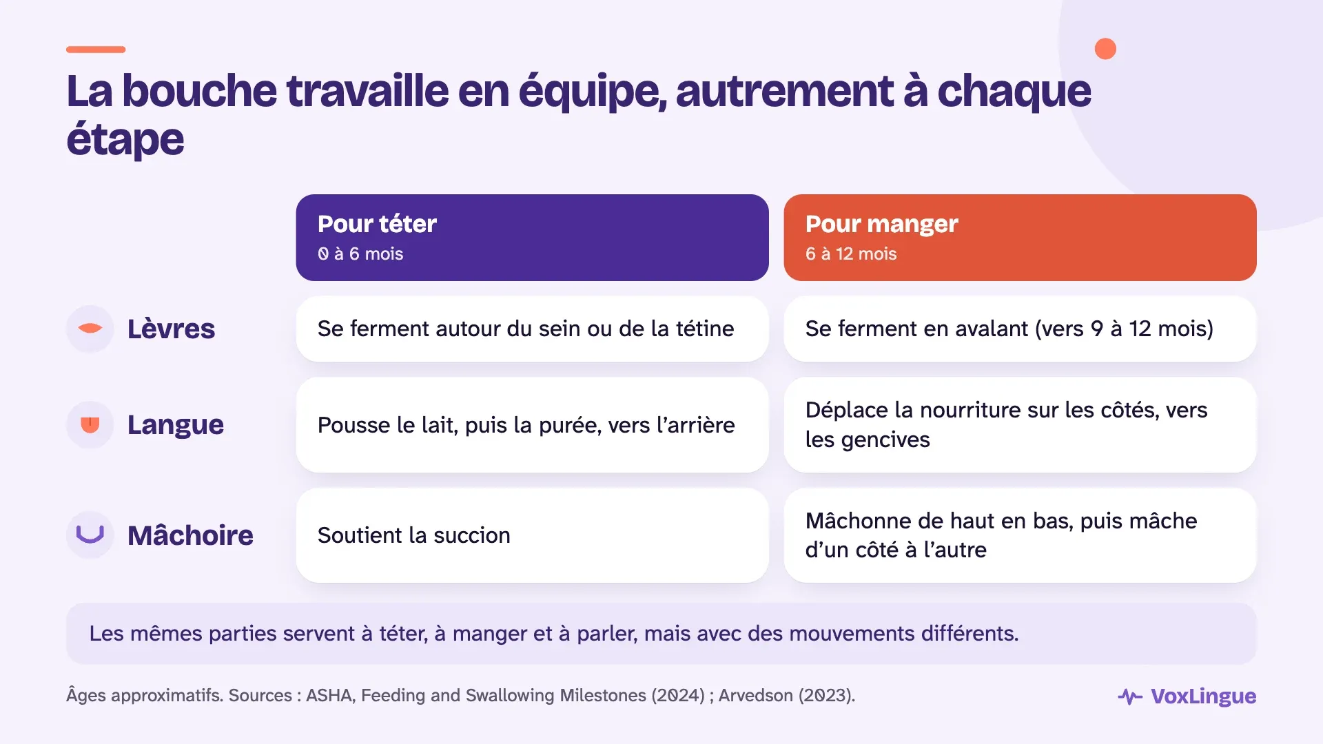 Tableau des lèvres, de la langue et de la mâchoire : ce qu’elles font pour téter de 0 à 6 mois et pour manger de 6 à 12 mois