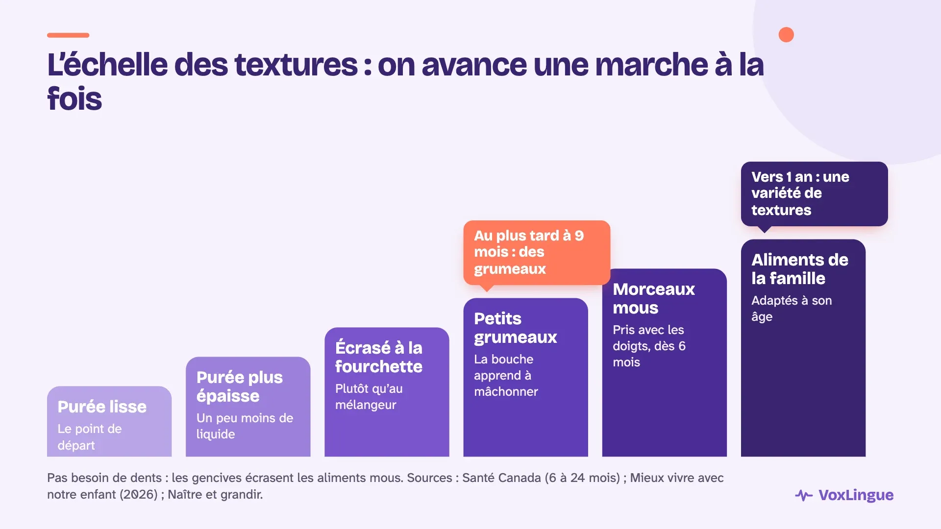 Échelle des textures en six marches, de la purée lisse aux aliments de la famille, avec des grumeaux au plus tard à 9 mois et une variété de textures vers 1 an