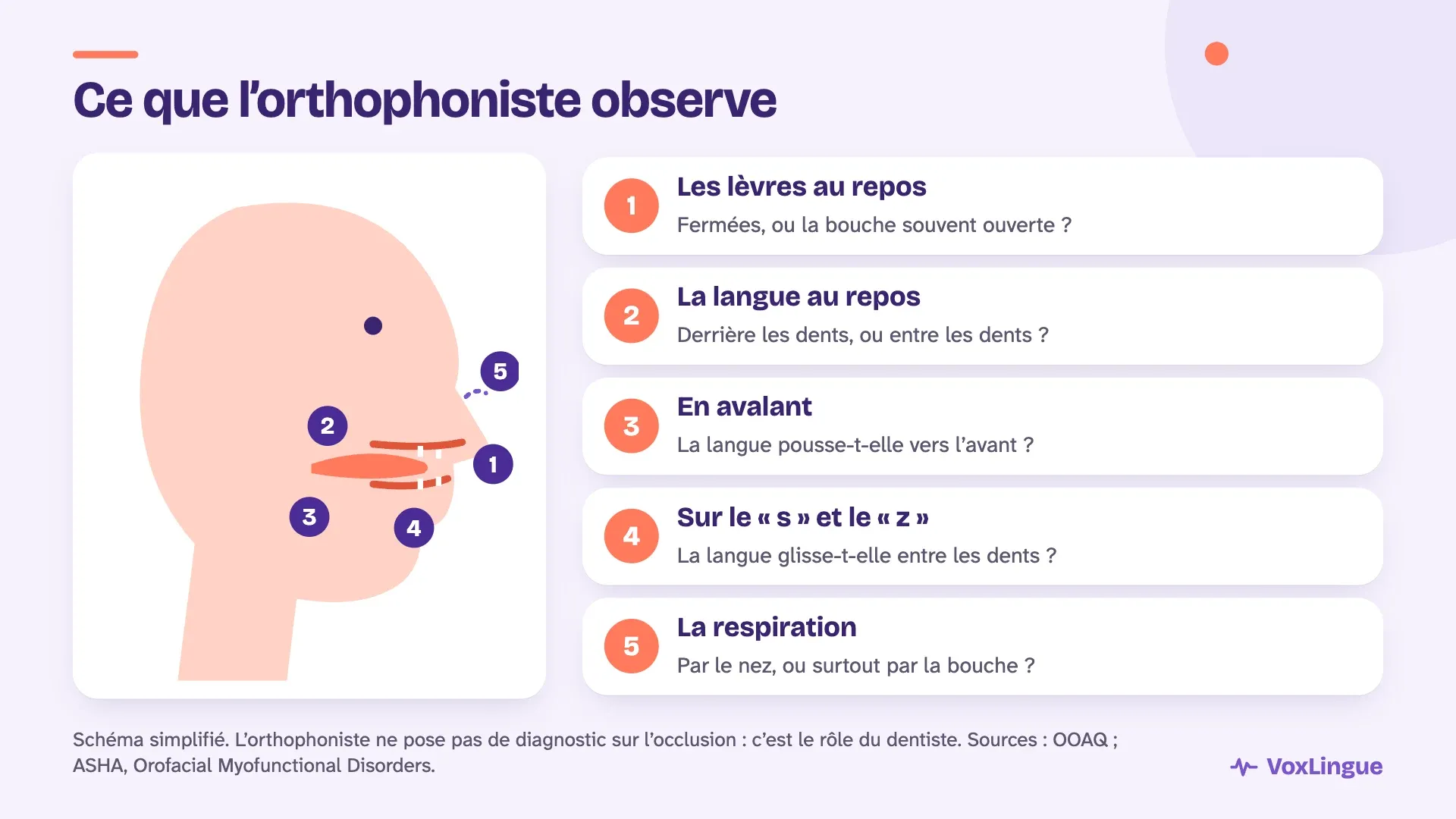 Schéma d’un profil d’enfant et cinq points observés par l’orthophoniste : les lèvres au repos, la langue au repos, la déglutition, la langue sur le « s » et la respiration