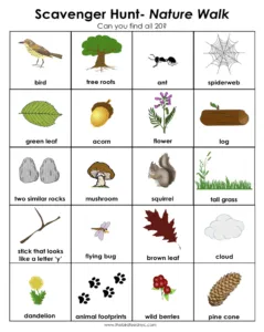 Nature walk scavenger hunt sheet with 20 pictures to find, such as bird, acorn and mushroom