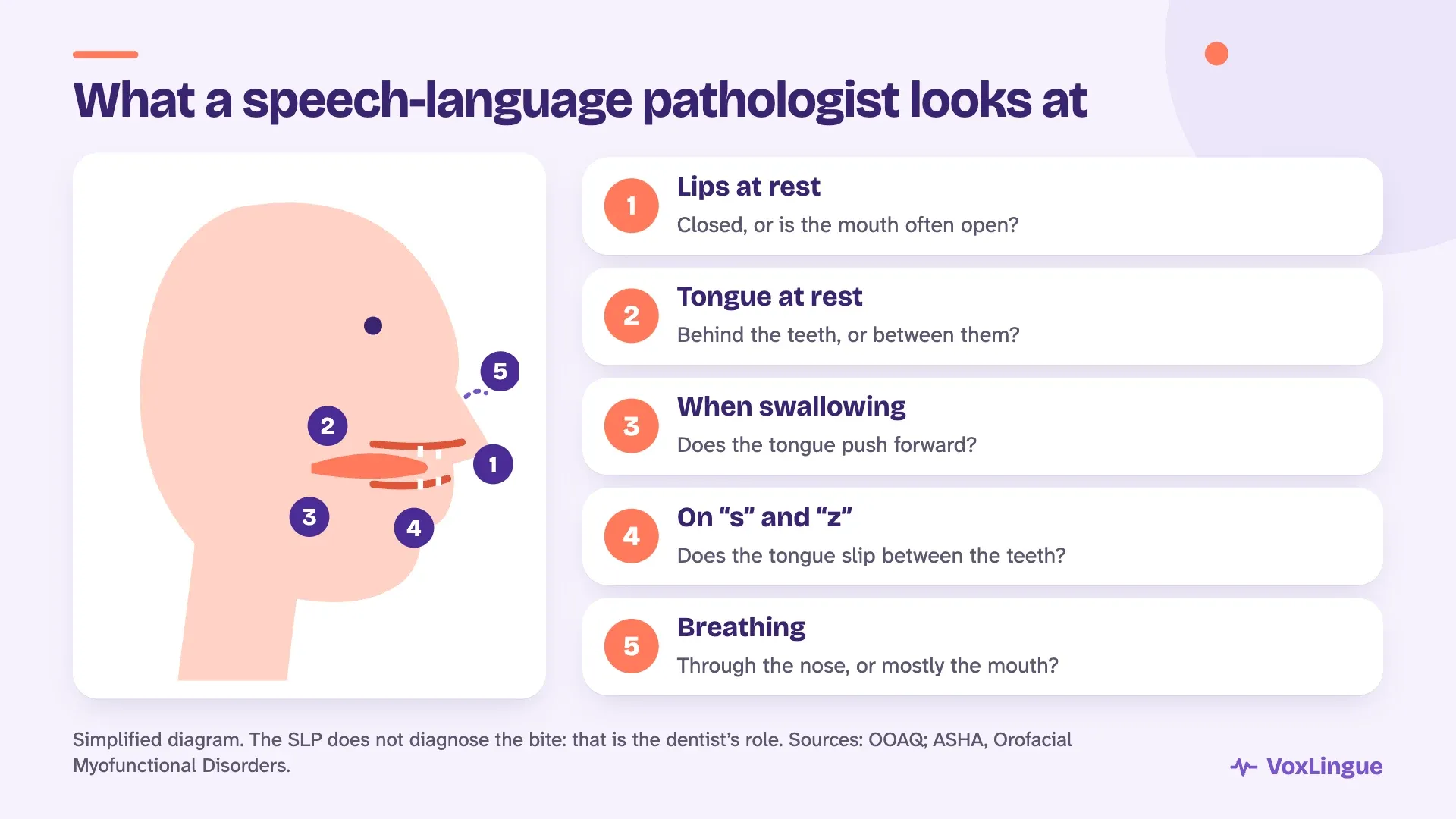 Diagram of a child’s profile and five things a speech-language pathologist looks at: lips at rest, tongue at rest, swallowing, the tongue on “s” and breathing