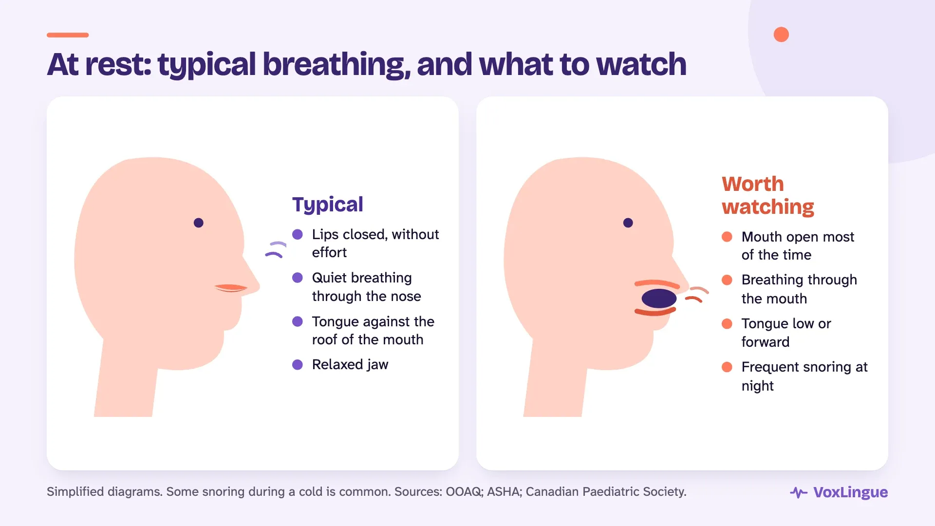 Two child profiles at rest: on the left, lips closed and nose breathing, typical; on the right, mouth open and mouth breathing, worth watching